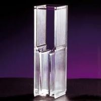 WCP20017